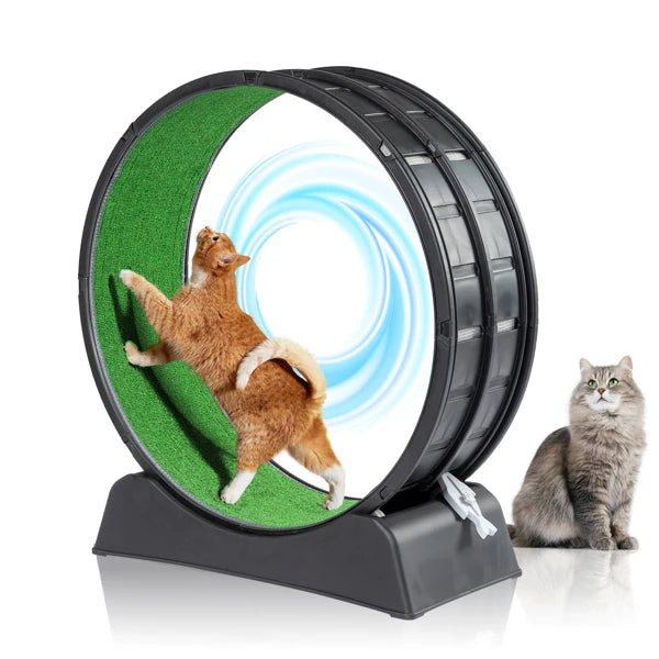 Interactive Cat Wheel Treadmill with Carpeted Runway