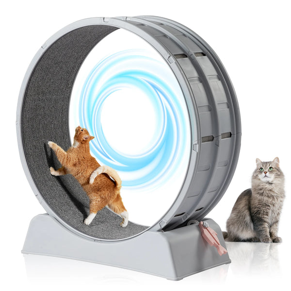 Interactive Cat Wheel Treadmill with Carpeted Runway