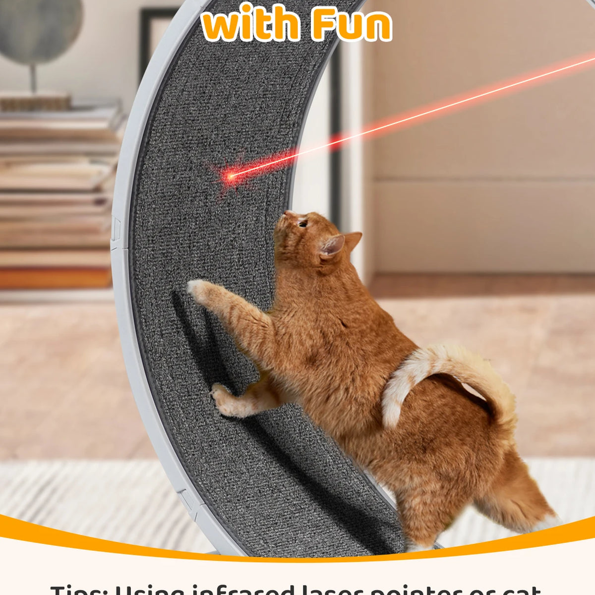 Interactive Cat Wheel Treadmill with Carpeted Runway