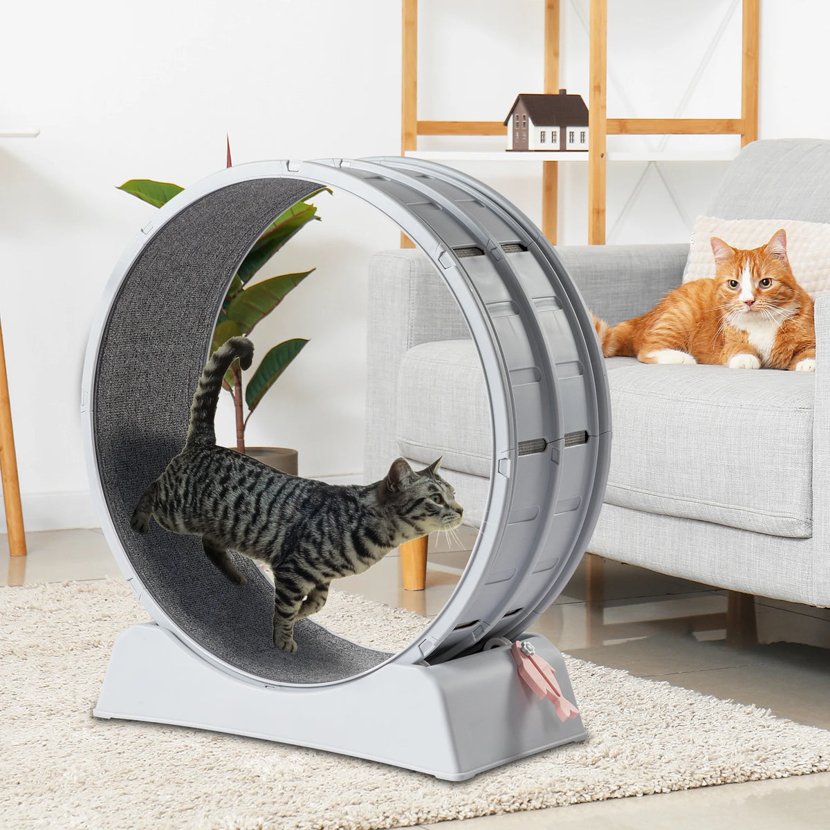 Interactive Cat Wheel Treadmill with Carpeted Runway