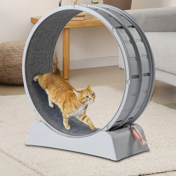 Interactive Cat Wheel Treadmill with Carpeted Runway